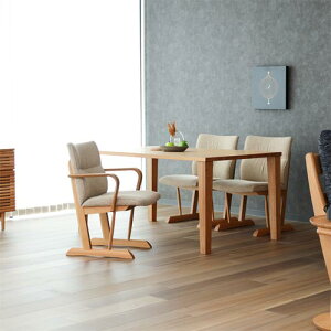 ˉƋ HIDA ˎY Standard Collection X^_[hRNV `FA SE YƋ C _CjO`FA I[N zn v {v