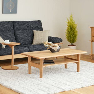 ˉƋ HIDA ˎY Standard Collection X^_[hRNV rOe[u YƋ C rOe[u I[N