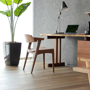 ˉƋ kijiya ƋH[賎q DC-06 YƋ C _CjO`FA bhI[N EH[ibg