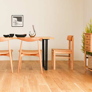 ˉƋ kijiya ƋH[賎q DC-09 YƋ C _CjO`FA bhI[N EH[ibg `F[