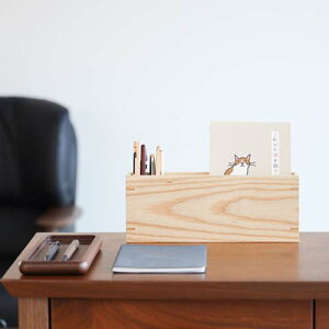 en̖H[ kochi R` L_e y YNtg C y EH[ibg `F[