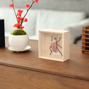 ]˖ؖڍl` koikko K insectum CZN^ ITV `H|i IuWF