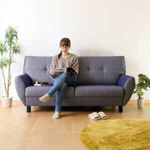 Ƌ MIYATA {cY SEELEY V[[ YƋ C \t@ zn