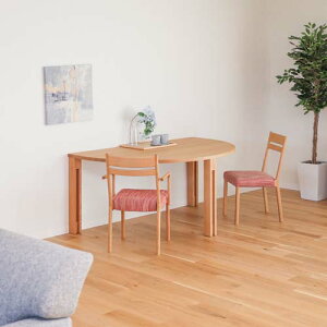 ˉƋ shirakawa VJ PLATZ vbce[u ~` Xbgr YƋ C _CjOe[u ۃe[u bhI[N EH[ibg [v `F[