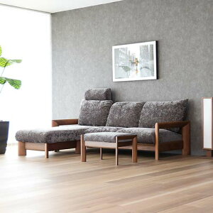 ˉƋ shirakawa VJ REMBRANDT ug \t@ YƋ C JE`\t@ bhI[N EH[ibg zn v {v