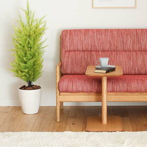 ˉƋ shirakawa VJ shirakawa TChe[u I^ YƋ C TChe[u bhI[N EH[ibg