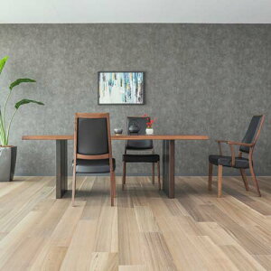 ˉƋ shirakawa VJ VERMEER tF[ `FA w YƋ C _CjO`FA bhI[N zn v {v