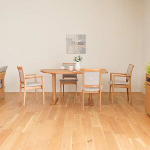 ˉƋ SHIRAKAWA VJ YUWA DaII `FA YƋ C _CjO`FA A[`FA A[X`FA bhI[N zn v {v