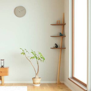 ÉƋ SUGIMOTO {Ƌ ׂ pp YƋ C bN EH[ibg