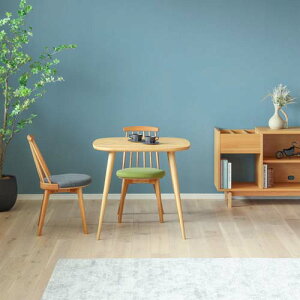 Ƌ Tateno ؍ލH| LS _CjOe[u XNGA YƋ C _CjOe[u