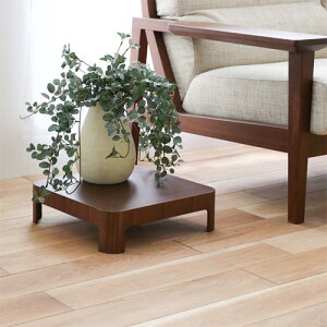 Ƌ WOW I SORAHE \w fBXvCEe[u YNtg ؐ  I[N EH[ibg