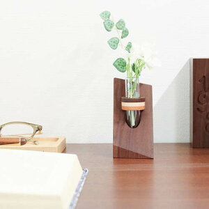 Ntg NtgV ICHIRIN C` S YNtg ؐ Ԋ EH[ibg