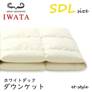 C^ _EPbg SDL zCg_bN _E80% DE-KS26-300 Z~_u |Q ӂƂ Hѕzc IWATA