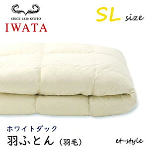 C^ HӂƂ HтӂƂ SL zCg_bN _E80% VO DE-QM26-300 |Q  Hѕzc IWATA