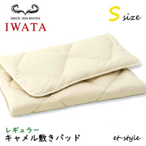 C^ L~pbh S M[ DE-CP107-550 xbhpbh VO ӂƂ xbh IWATA