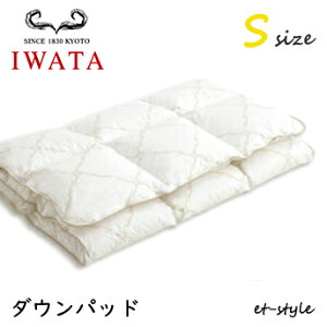 C^ _Epbh S VO xbhpbh DE-PT28-903 H }bgX xbh IWATA