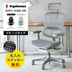 【正規店】 エルゴヒューマン プロ2 ハイタイプ EHP2-HAM-DR Pro 新型 パーソナルチェア デスクチェア 【名入れステッカー対応】