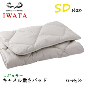 C^ L~pbh SD M[ DE-CP107-550 xbhpbh Z~_u ӂƂ xbh IWATA