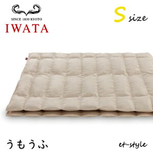 C^  S VO DE-RK71-222 |Q ӂƂ xbh  Hѕzc IWATA