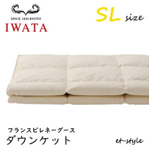 C^ _EPbg SL tXsl[O[X _E95% VO DE-KS70-222 |Q ӂƂ   xbh Hѕzc IWATA