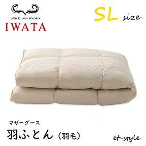 C^ HӂƂ HтӂƂ SL }U[O[X90% VO DE-QM89-222 |Q  Hѕzc IWATA