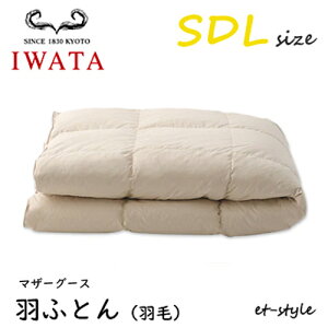 C^ HӂƂ HтӂƂ SDL }U[O[X90% Z~_u DE-QM89-222 |Q  Hѕzc IWATA