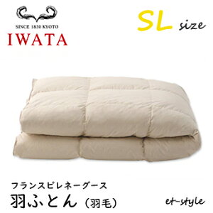 C^ HӂƂ HтӂƂ SL tXsl[O[X _E95% DE-QM70-222 VO |Q  Hѕzc IWATA