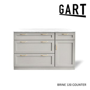 JE^[ 120 BRINE rl HI Lb` Kg  o O[ [ fUC ^J Vv