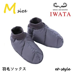 C^ Hу\bNX M 21`24.5cm O[ E-UMS-222  w ₦ g Mtg v[g Hѕzc IWATA