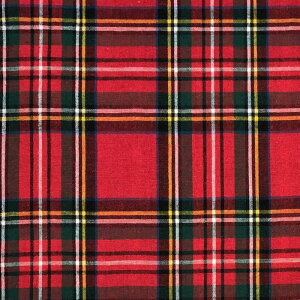 ЂЂƂ Ȗ ^[^`FbN n yRMD3211z 50cmP ؂蔄 S6F 112cm Y