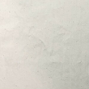 yApnz Rbg VN lbv fjyCLT504z 2mȏ50cmP ؂蔄 n S3F 115cm