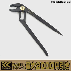 �y�܂Ƃߔ����ōő�2000�~�����z �t�W�� ���� �E�H�[�^�[�|���v�v���C���[ �X�����C���^�C�v 110-250S-BG / 110-250SD-BG �v���C���[ �|���v�� FUJIYA KUROKIN