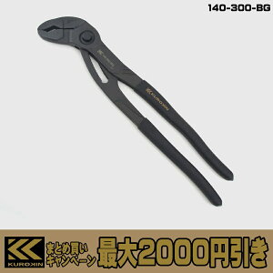 �y�����܂Ƃߔ����ōő�2000�~�����z�t�W�� FUJIYA ���� KUROKIN �N�C�b�N�E�H�[�^�[�|���v�v���C���[ 140�V���[�Y 140-185-BG 140-250-BG 140-300-BG 185mm 250mm 300mm �ő�J��30mm 51mm 60mm �|���v�� �z�� ����