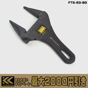 y܂Ƃߔōő2000~z tW  CgV[gL[iMUj FTS-28-BG / FTS-32-BG / FTS-43-BG / FTS-53-BG L[` ΃x FUJIYA KUROKIN