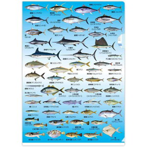 CYS EE܁EE͓ؕ NAt@C