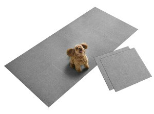 {  L 􂦂TR[ Ȃ WCg}bg 唻 45×45cm O[ 10 J[ybg^Cv z ^C}bg K-18