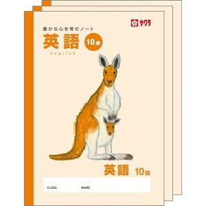 TNNpX wK p 10i B5 Ē×S fUC JK[ 3 NP93(3)