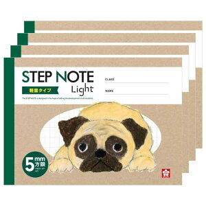 TNNpX wK Xebvm[g Cg n[tTCY y 5mm Z~B6 Ē×S fUC pO 4 NL351(4)