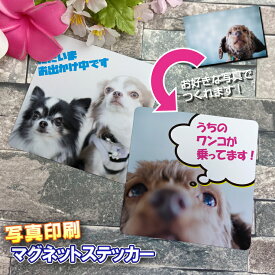 写真印刷 カスタム マグネットステッカー baby in car ベビーインカー 安全運転 ステッカー ペット 愛犬 愛ネコ 子ども 赤ちゃん 車ステッカー 犬ステッカー かわいい プレゼント 贈り物 オリジナルグッズ ドレスアップ おしゃれ dog ドッグ イヌ いぬ