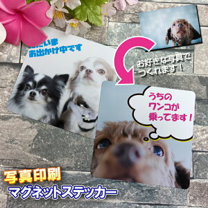 ʐ^ JX^ }OlbgXebJ[ baby in car xr[CJ[ S^] XebJ[ ybg  lR qǂ Ԃ ԃXebJ[ XebJ[ 킢 v[g 蕨 IW