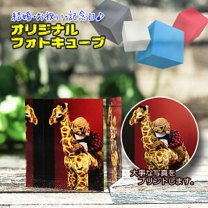 AN tHgL[ui5×5×5Z`jPHOTO CUBE LOi ʐ^ @a j ƋLO  LO 蕨 tHgt[ ʐ^ j j LO v[g Mtg 