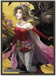 t@Cit@^W[ J[hX[uV[Y eBi FFCSS-01