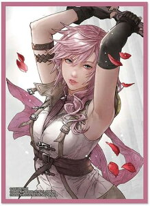 t@Cit@^W[ J[hX[uV[Y CgjO FFCSS-06