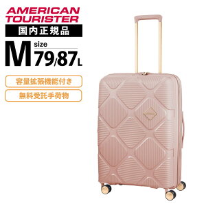 y}\Iő30OFFN[|zKi American Tourister AJc[X^[ X[cP[X MTCY L[obO L[P[X INSTAGON SPINNER 69/25 EXP TSA V2 GT CX^S Xsi