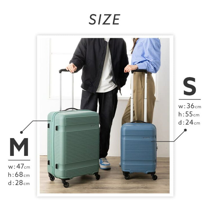 楽天市場】【最大56.5倍 20日限定】【30％OFF】 正規品 カメレオン 