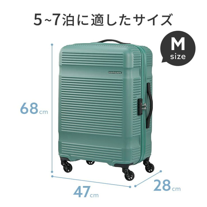 楽天市場】【最大56.5倍 20日限定】【30％OFF】 正規品 カメレオン 