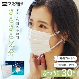 マスク 不織布 マスク習慣 マスクシュウカン さらさら気分 ふつう 30枚 ネコポス 不織布マスク 3層構造 内側コットン 内側 大人用 Mサイズ ノーズフィッター・口元 ワイヤー 個包装 日本マスク工業会会員 ポストイン 伊藤忠リーテイルリンク 公式