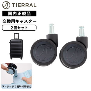 yz TIERRAL X[cP[X LX^[ p 2Zbg ʔLX^[ eBG PUFFER pt@[ Ή Y fB[X LX^[E ԗ֏C ^C s  Vv