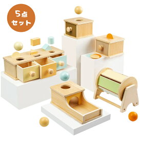 【5点セット】ベビー積み木 知育玩具 おもちゃ 赤ちゃん 木のおもちゃ 知育おもちゃ 木製 空間認識 指先トレーニング 教材 室内 ゲーム 幼児 知育 1歳 2歳 3歳 幼稚園 男の子 女の子 ギフト 子供 キッズ クリスマス プレゼント 誕生日 出産祝い