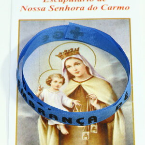 {tB EXu[yTbJ[/uWANZT[/[hJbv/zlR|XΉ\